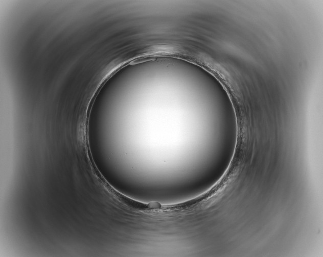 X0000096631473200802051056