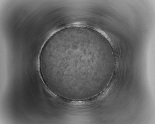 X0000096631474200802051056