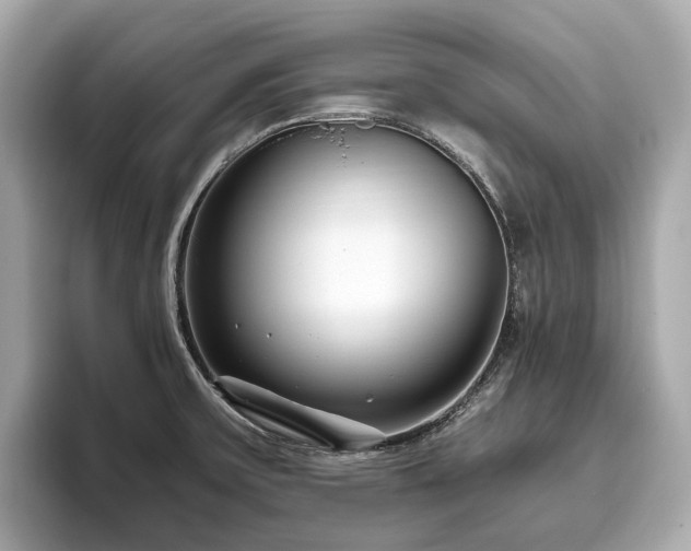 X0000096631475200802051056