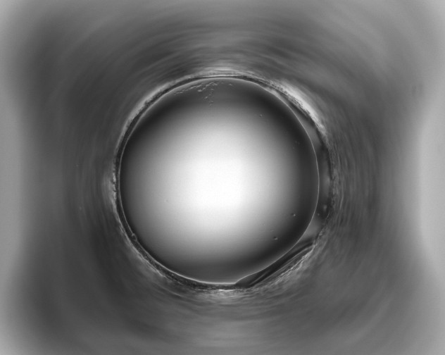 X0000096631476200802051056