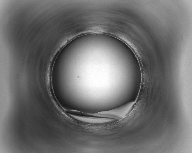 X0000096631477200802051056