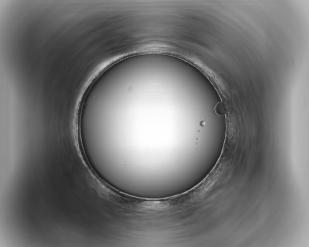 X0000096631478200802051056