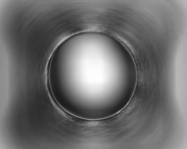 X0000096631479200802051056