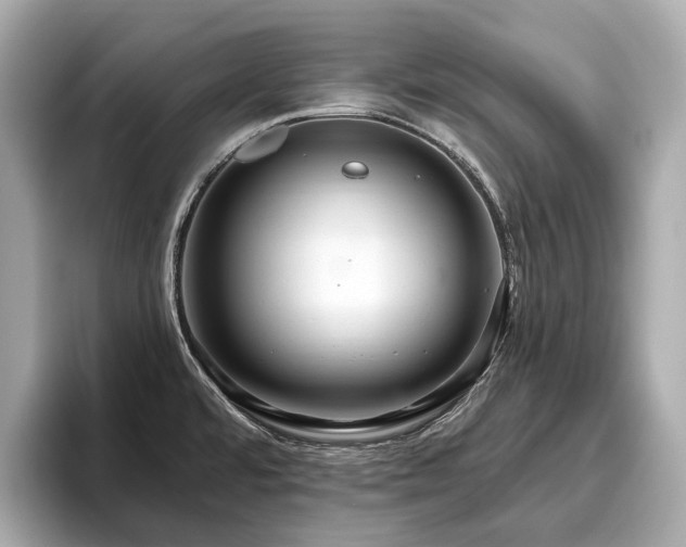 X0000096631480200802051056