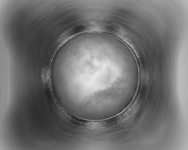 X0000096631481200802051056