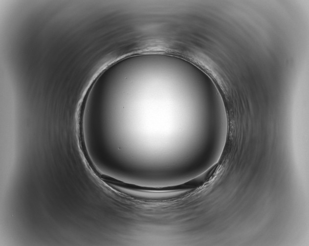 X0000096631483200802051056