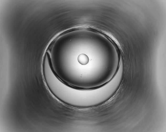 X0000096631484200802051056