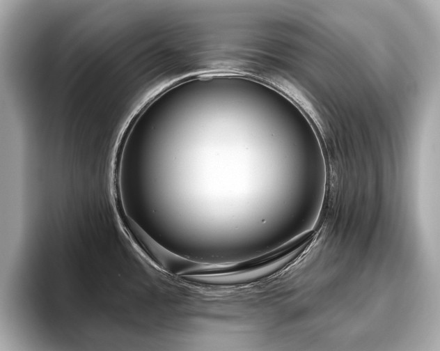 X0000096631485200802051056
