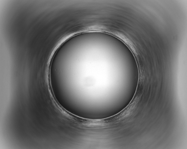 X0000096631486200802051056
