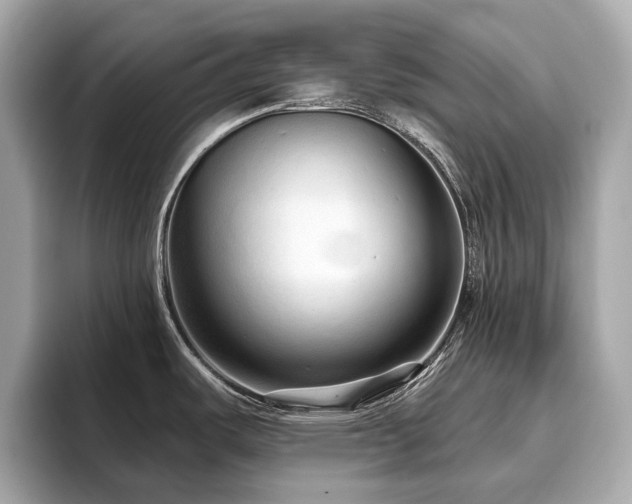 X0000096631487200802051056