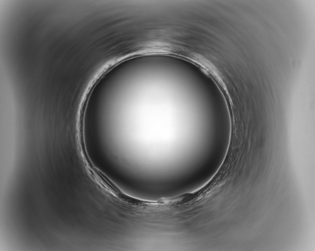 X0000096631488200802051056