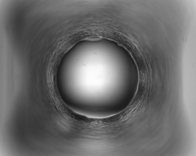 X0000096631489200802051055