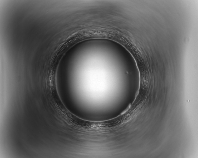 X0000096631490200802051055