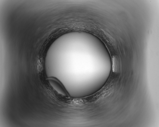X0000096631491200802051056