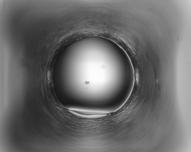 X0000096631492200802051056
