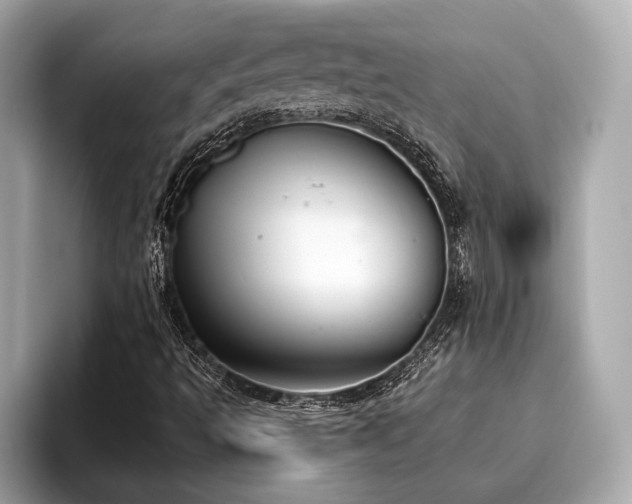 X0000096631493200802051056
