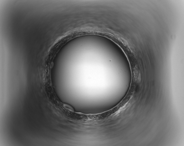 X0000096631494200802051056