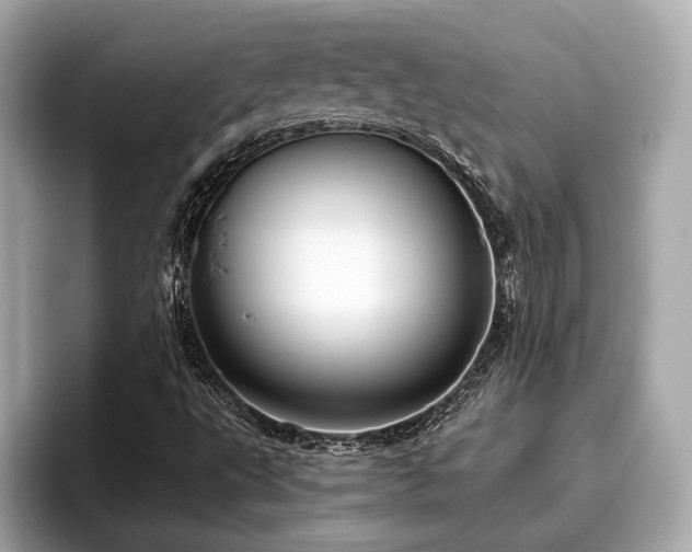 X0000096631495200802051056