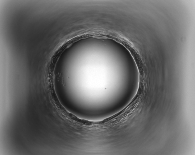 X0000096631496200802051056