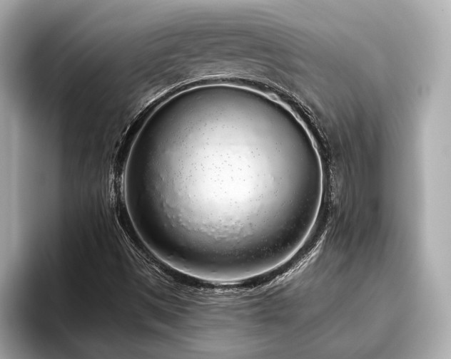 X0000096631497200802051056