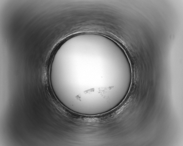 X0000096631498200802051056