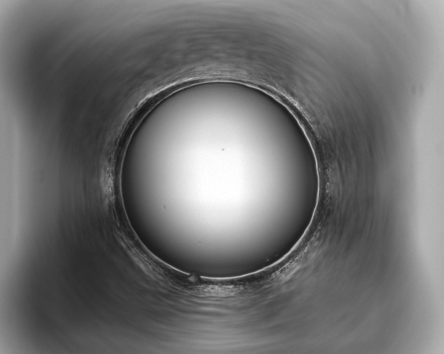 X0000096631499200802051056