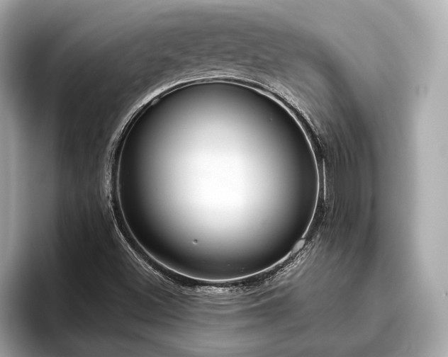 X0000096631500200802051056