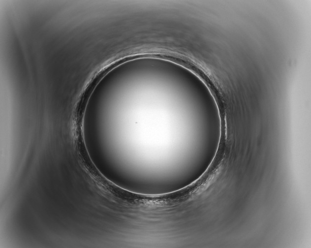 X0000096631501200802051056