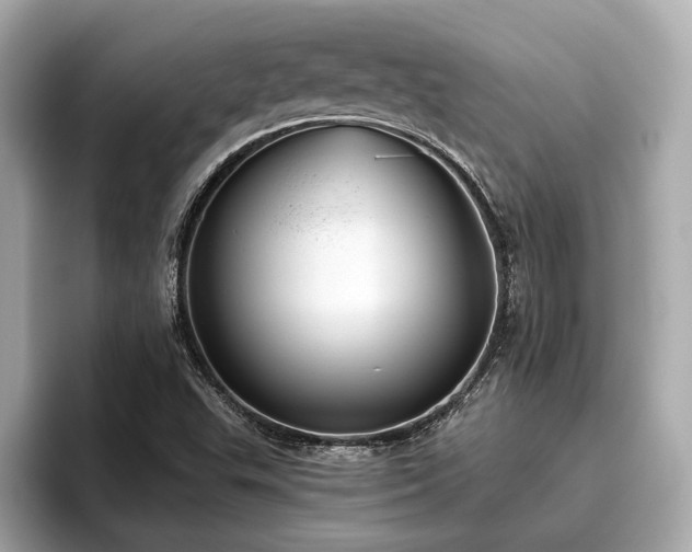 X0000096631503200802051056
