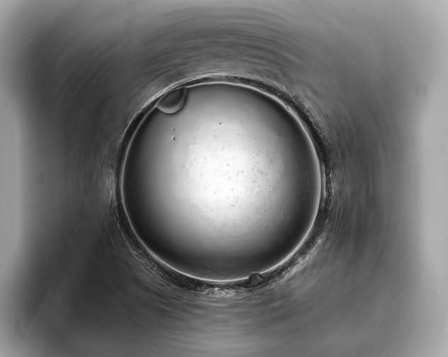 X0000096631505200802051056