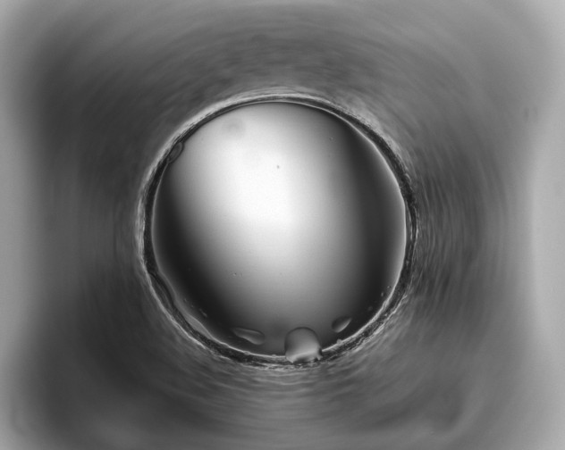 X0000096631508200802051056