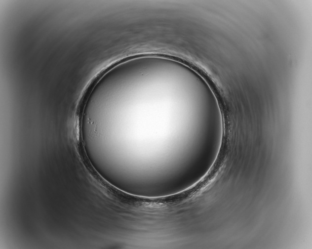 X0000096631509200802051056
