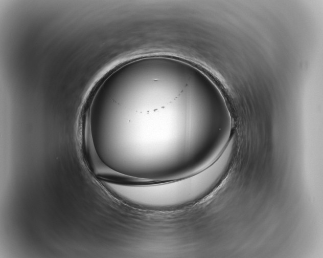 X0000096631510200802051056