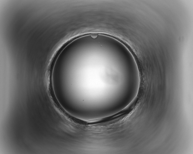 X0000096631511200802051056