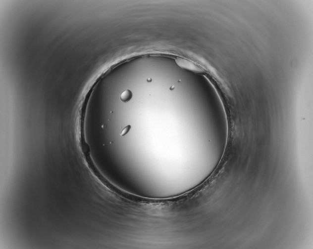 X0000096631512200802051056