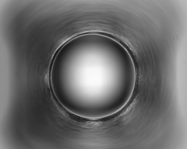 X0000096631513200802051056