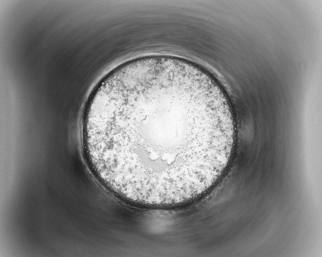 X0000096631514200802051056