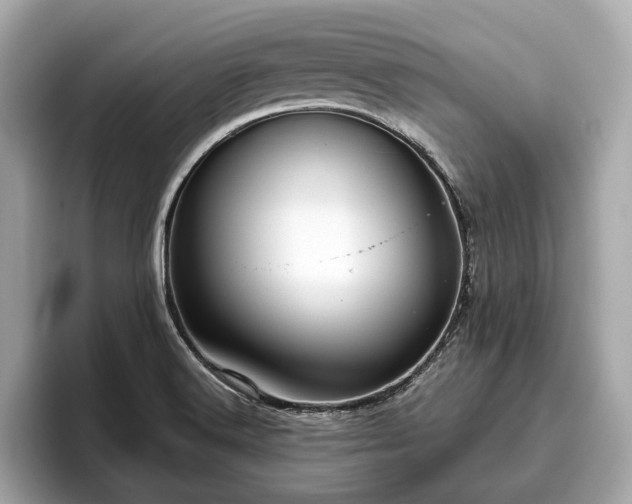X0000096631516200802051056