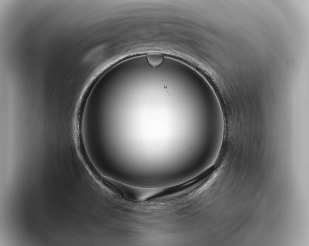 X0000096631517200802051056