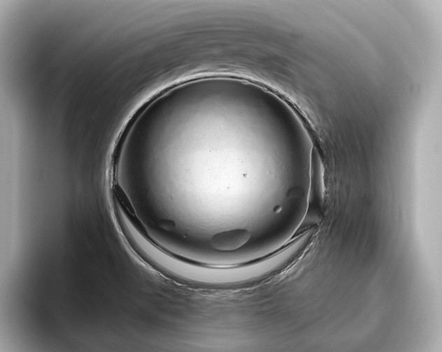 X0000096631519200802051056