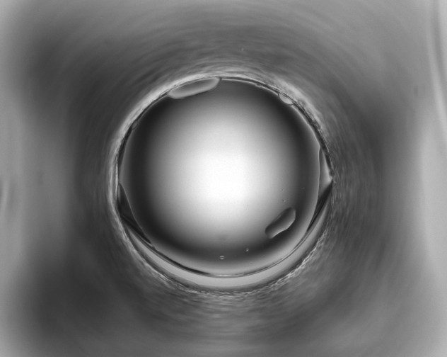 X0000096631520200802051056