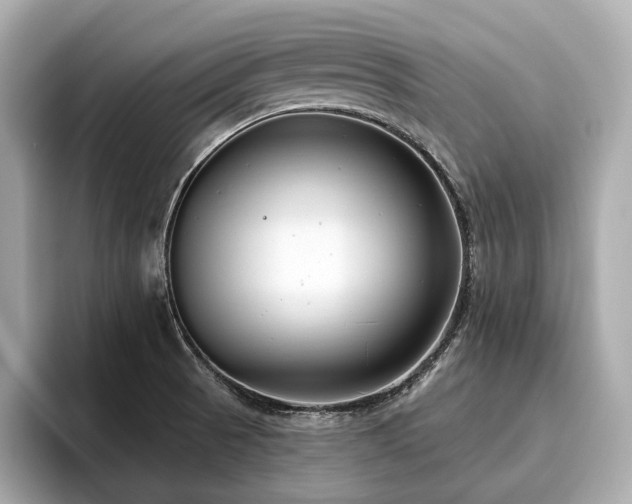 X0000096631521200802051056