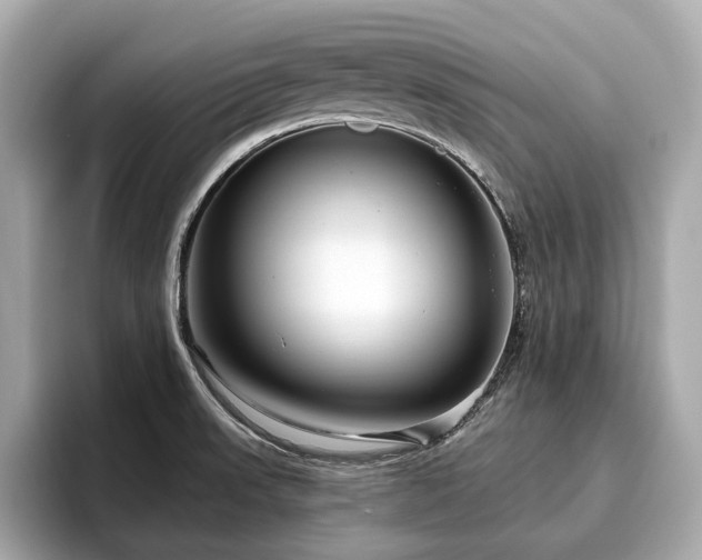 X0000096631523200802051056