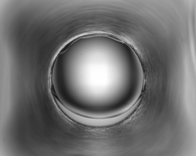 X0000096631524200802051056