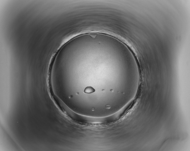 X0000096631525200802051056