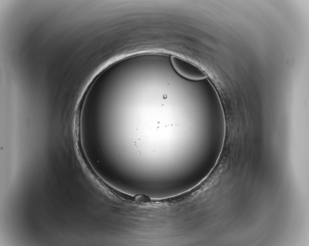 X0000096631526200802051056