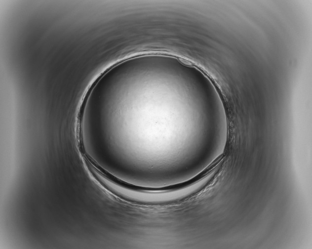 X0000096631527200802051056