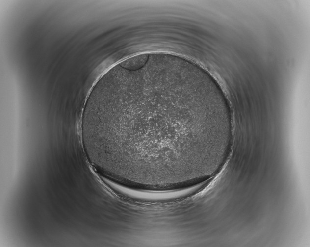 X0000096631529200802051056