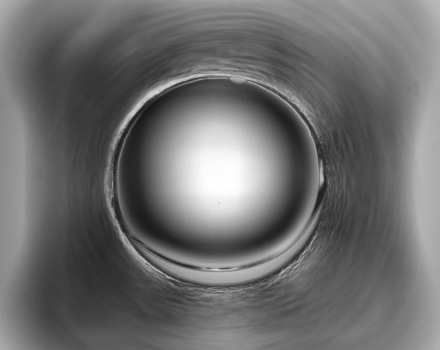 X0000096631531200802051056