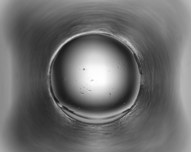 X0000096631532200802051056
